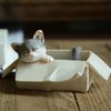 Gemmia Book Lover Figurine- Cat w/Books(Notice Size)