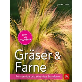 Gräser und Farne: Für sonnige und schattige Standorte