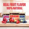 Smash Foods Jam Variety 3-Pack Classics | No Sugar Added,