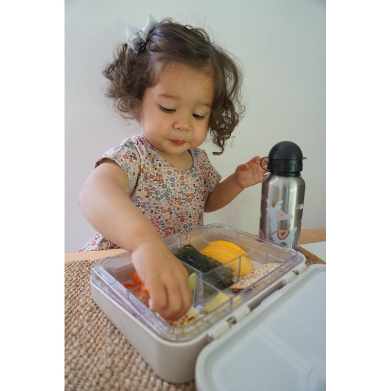 My Family Easy Clean Bento Lunchbox – Leakproof, Durable, BPA-Free