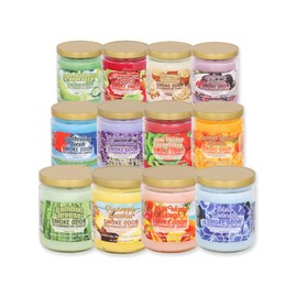 Bulk Smoke Odor Exterminator Odor Eliminating Scented Candles, Odor Eliminating Candle, Cooking Odor Eliminator Case of 12 (Mystery Variety Pack)