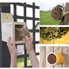 AukBeeFun Cardboard Mason Bee House Tubes 6 Inches Paper Tubes