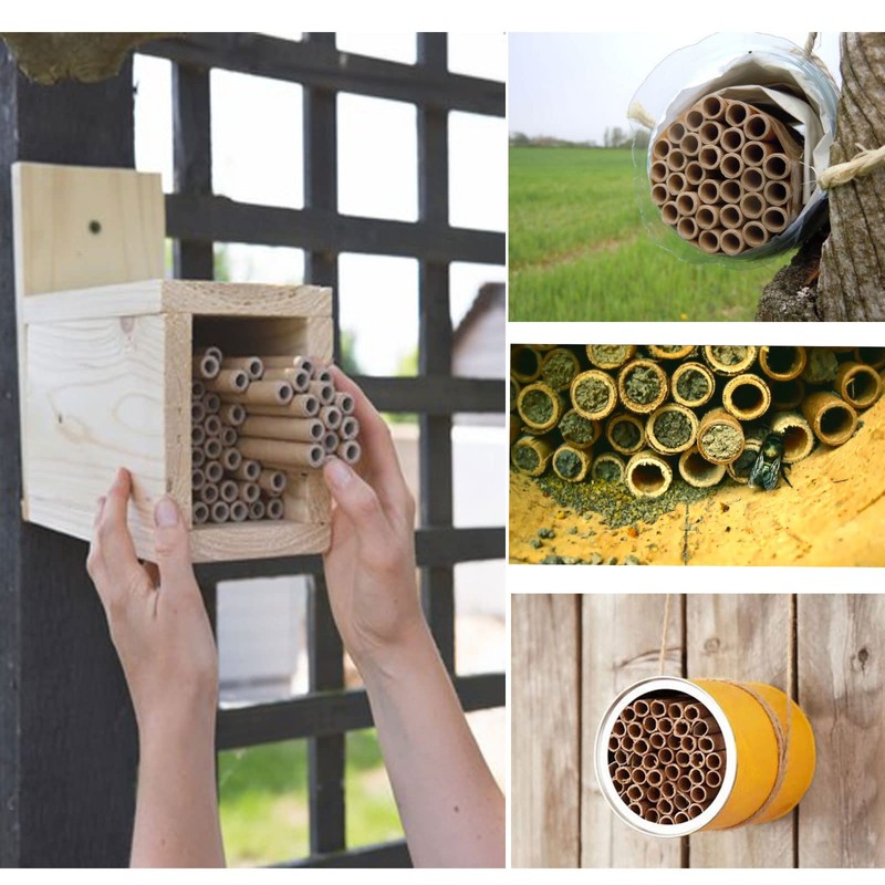 AukBeeFun Cardboard Mason Bee House Tubes 6 Inches Paper Tubes