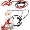 2pcs Adjustable Harness for Parrots Bird Harness Lead for Outdoor