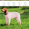 Yeapeeto Dog Sun Protection Cooling Suit UPF 50+, Quick-Dry Breathable