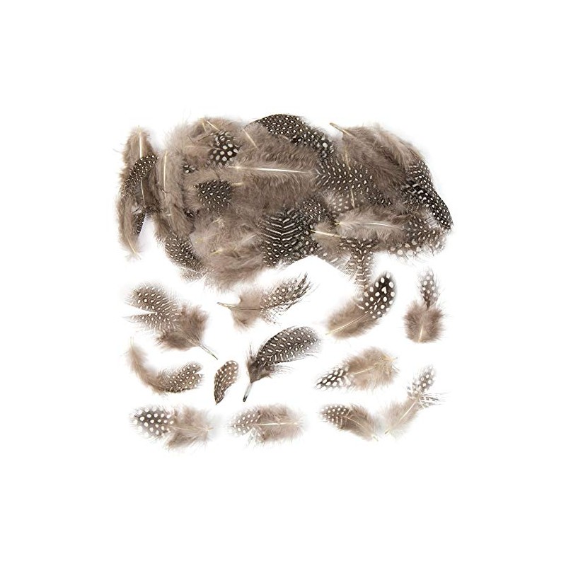 Baker Ross Natural Spotty Feathers for Kids / Adults for