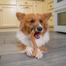 Petstages Dogwood Flip and Chew Bone, Medium