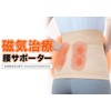 phiten(ファイテン) サポーター 磁気チタン 腰サポーター ベージュ L-LL