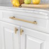 Asidrama 10 Pack 10 Inch(254mm) Champagne Bronze Kitchen Cabinet Handles,