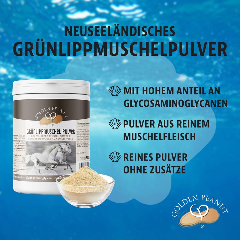 Green-Lipped Mussel Powder New Zealand Mussel Extract Premium Quality for