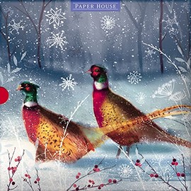 The Great British Card Company Paper House Box of 16 Christmas Cards - Merry Pheasants and Robin - 16 Cards, 8 Each of 2 Stunning Designs,Multi,197 x 197 x 40mm