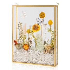 Large Shadow Box Frame 12x12, Glass Wedding Shadow Boxes Display Case, Deep 3D Picture Frame with Traceless Removable Adhesive for Wedding Bouque, Memories, Tickets and Photos