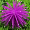 WinldMonmo Artificial Sea Anemone Aquarium Decorations, Silicone Coral Plant, Green,