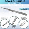 All-Purpose 60 Pcs Sterile Blades #10#11#12#14#15#16 + Stainless Steel Scalpel
