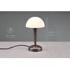 lightling Carina LED Table Lamp Metal Modern Light Indoor IP20