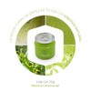 EURO TE- Té Verde Matcha Japonés Ceremonial - lata 30