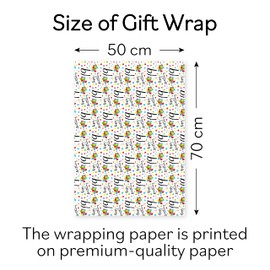 Hunts England - 1 Sheet Of 19th Birthday Fun Wrapping Paper For Boy/Girl - Includes 2 Gift Tags - Age 19 Folded Gift Wrap For Him/Her - Iconic Collection - Colourful Age Nineteen Gift Wrap