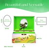 Enchantmints Playful Dragon Musical Jewelry Box for Girls & Boys