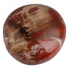 SUNYIK Petrified Wood Palm Stones Worry Pocket Stone, Polished Irregular