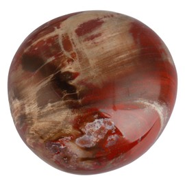 SUNYIK Petrified Wood Palm Stones Worry Pocket Stone, Polished Irregular Shaped Sphere Decortarion 1.5"-2.5"