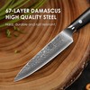 KEEMAKE Kitchen Utility Knife, 5 Inch Chef Knife, 67-Layer Damascus