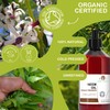 B.O.T Cosmetic & Wellness Garden Neem Oil Cold Pressed Unrefined