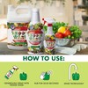 Veggie Wash Fruit and Vegetable Wash, Ideal for Cleaning Produce,