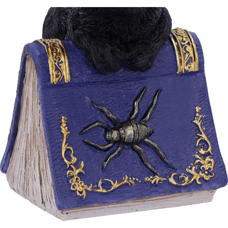 Nemesis Now Pocus Small Witches Familiar Black Cat and Spellbook