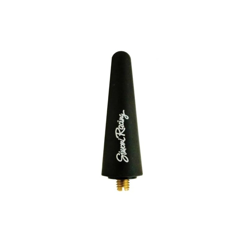 Simoni Racing ASR/18 Antenna Fun, Black
