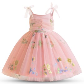 TTYAOVO Toddler Baby Dress Embroidery Tulle Dresses Size 2Y(24 Months, 2120 Pink)