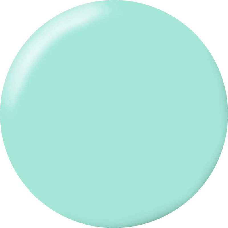 kokoist 4-Colored Gels E – 48, G mintexikuri-mu UV/LED Compatible