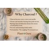 Frankincense Charcoal Incense Cones 1" TOPFLOW - 50 Pack -