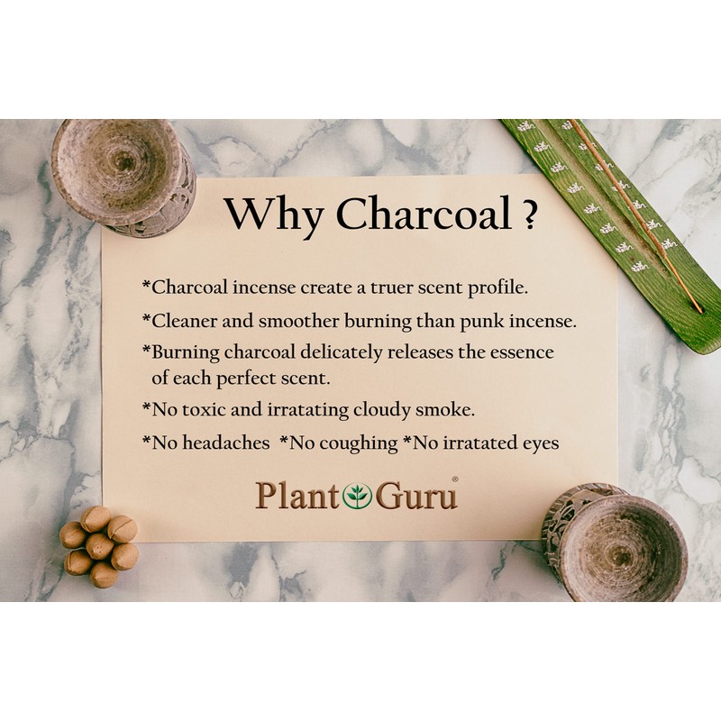 Frankincense Charcoal Incense Cones 1" TOPFLOW - 50 Pack -