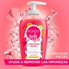 Pond's Limpiador Facial Noche y Día 220 ml
