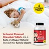 Charcoal House Chewable Activated Charcoal Tablets for Kids | Natural,