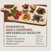 Earth Elixir Berberina 1200 Resveratrol 400 Coq10 200 Canela Ceilán