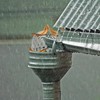 Gutter Guard, 6Pcs Gutter Screen Covers, Aluminum Gutter Downspout Guard