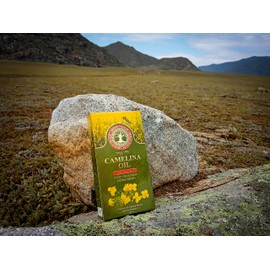 Siberian Camelina Oil, Premium Quality, Extra Virgin, First Cold Press, 100 ml (3.4 Fl Oz)