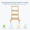 Dream On Me 2-in-1 Funtastic Tower and Step Stool, Toddler