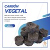 Genérico Luz María- Carbón Vegetal 2 cajitas con 10 pzas