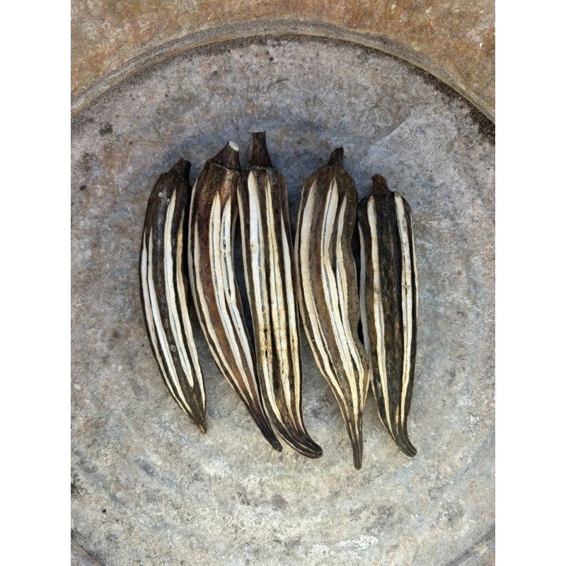 Lot Of 12 Dried Okra Pods.