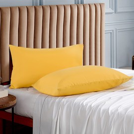 Evolive Ultra Soft Brushed Microfiber Standard Size 20"x30" Pillowcases Pair Set of 2 with Envelope Closure (20"x30" Standard, Spicy Mustard)