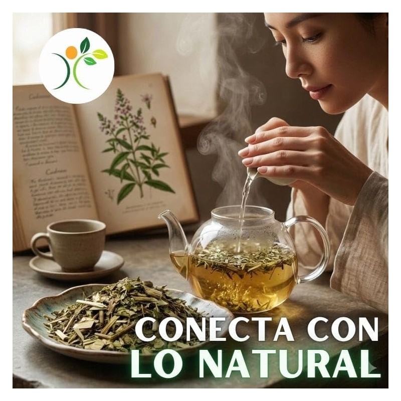 Xenivalle Cedrón Deshidratado 500 g Hierba Natural para Infusiones, Tés,