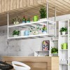 DSVONAUS Ceiling Shelf, Floating Shelves Kitchen Storage Wine Rack, Industrial