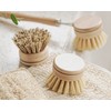 Jungle Culture Firm Bristle Replacement Brush Heads for Eco Dish