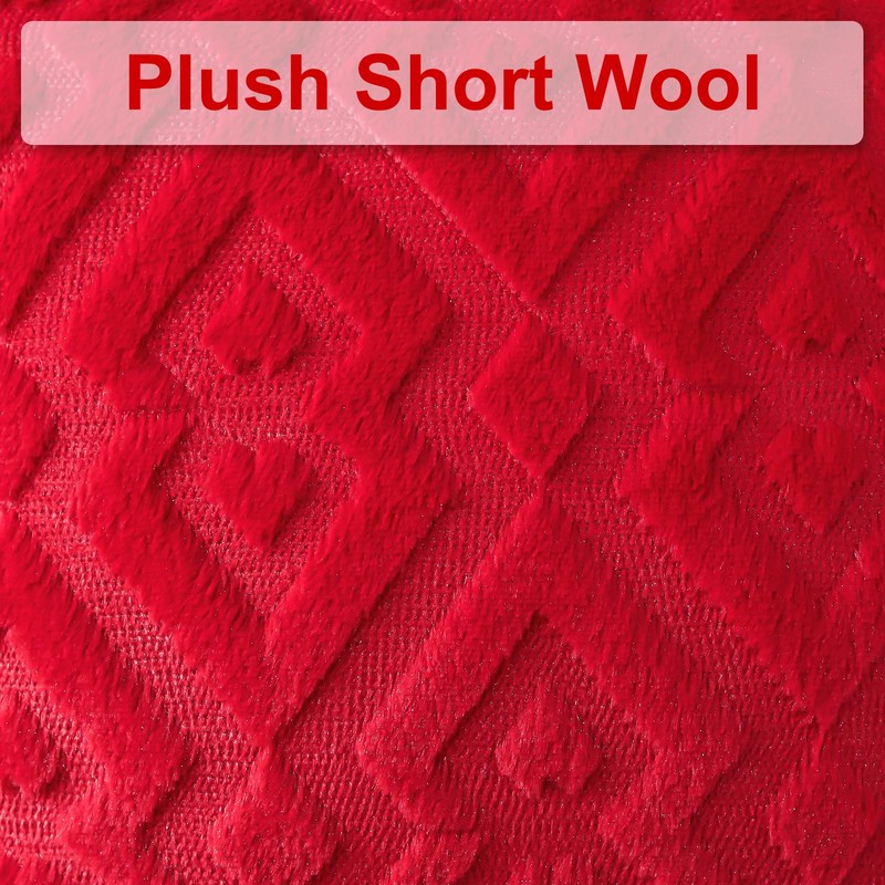 Artscope Pack of 2 Soft Plush Short Wool Velvet Decorative