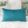 Artscope Luxury Velvet Cushion Covers Decorative Lumbar Pillowcases Soft Solid