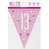 Unique 83448 Pink Plastic Pennant Banner-9' Silver | 1 Pc,