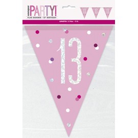 Unique 83448 Pink Plastic Pennant Banner-9' Silver | 1 Pc, Age 13