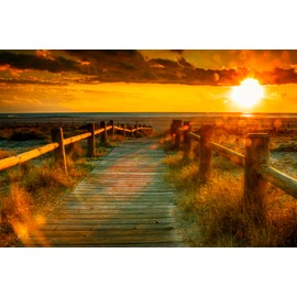 Ladybug Soap Company Natural Handmade Solid Perfume 0.4 OZ Tin Jar (Chilli Pepper & Sea Salt)